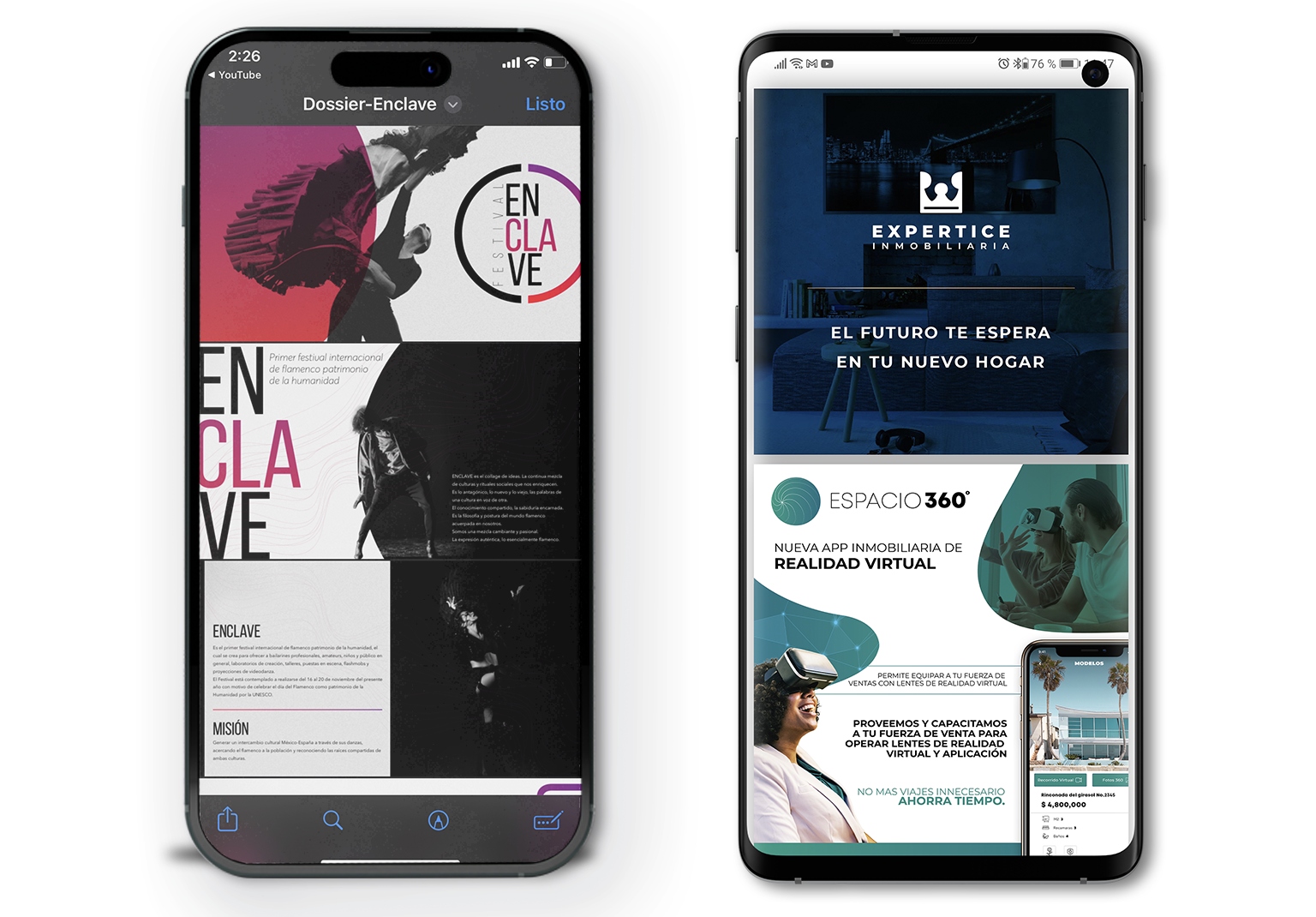 Desarrollo Web Información